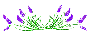 image.gif