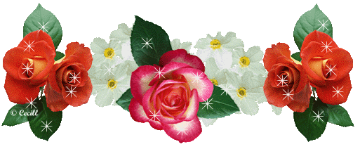 image.gif