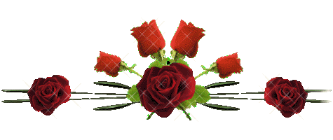 image.gif
