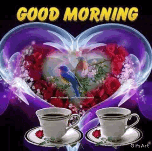 image.gif