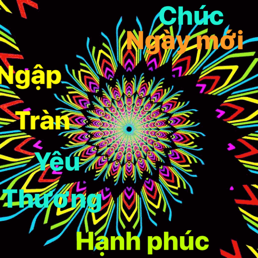 image.gif
