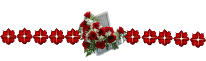 image.gif
