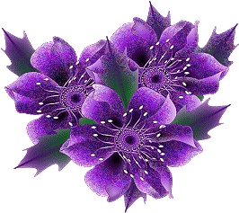 image.gif