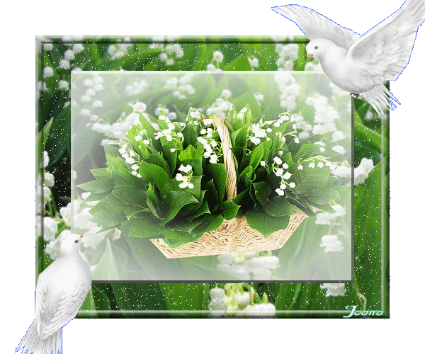 image.gif