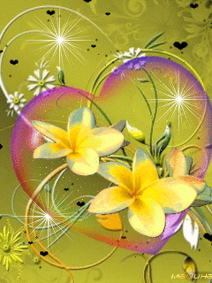 image.gif