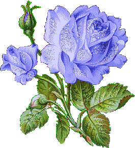 image.gif