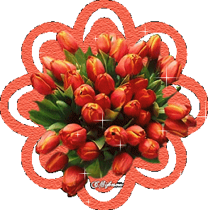 image.gif