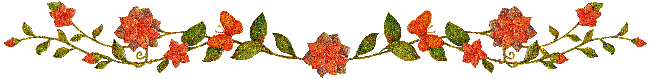 image.gif
