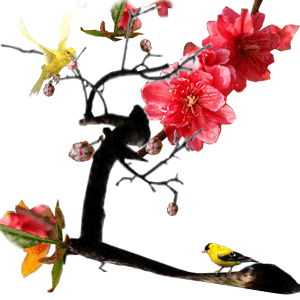image.gif
