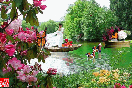 image.gif