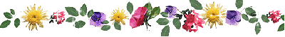 image.gif