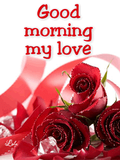 image.gif