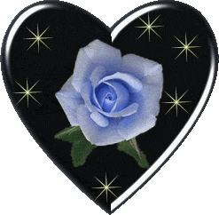 image.gif