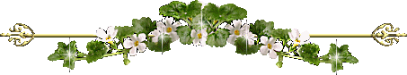 image.gif