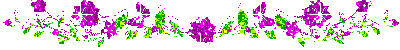 image.gif