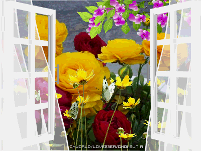image.gif