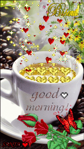 image.gif