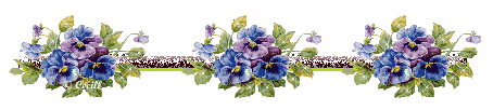 image.gif