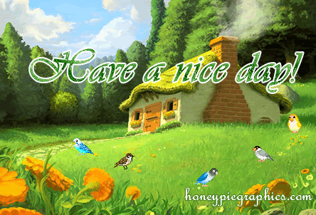 image.gif
