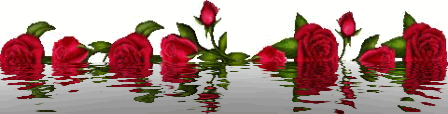 image.gif