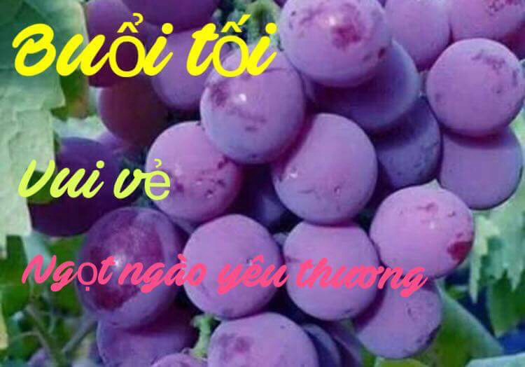 image.jpeg
