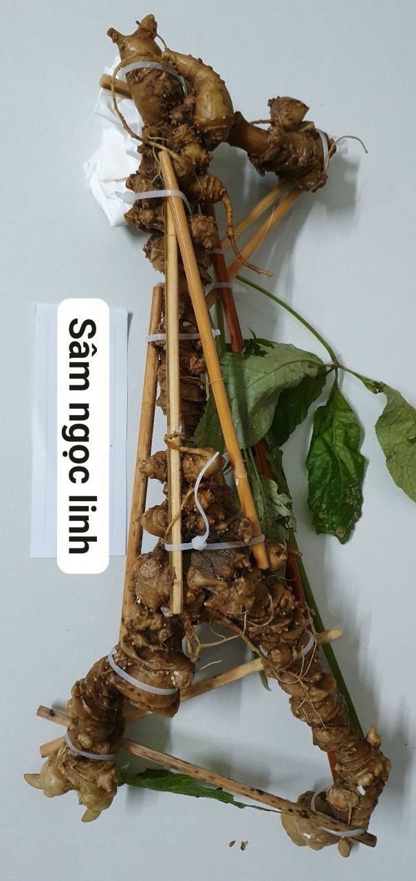 image.jpeg