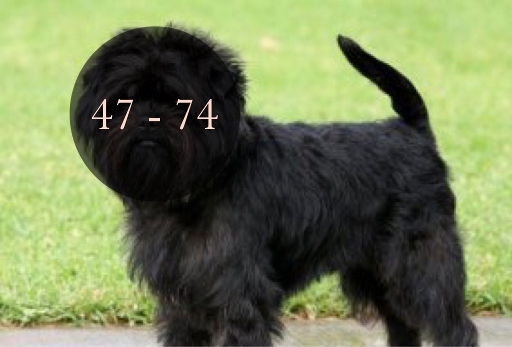 image.jpeg