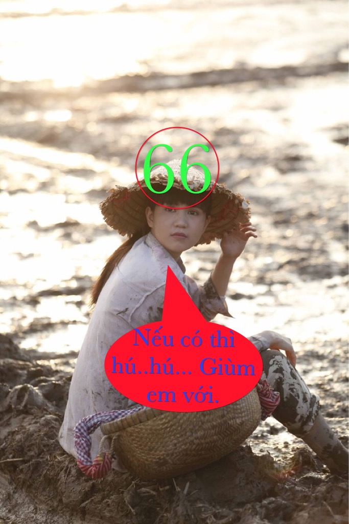 image.jpeg