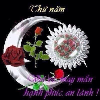 image.jpeg