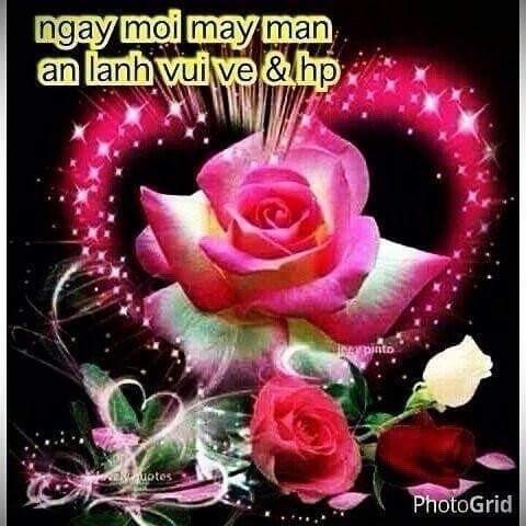 image.jpeg