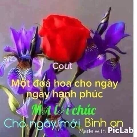 image.jpeg