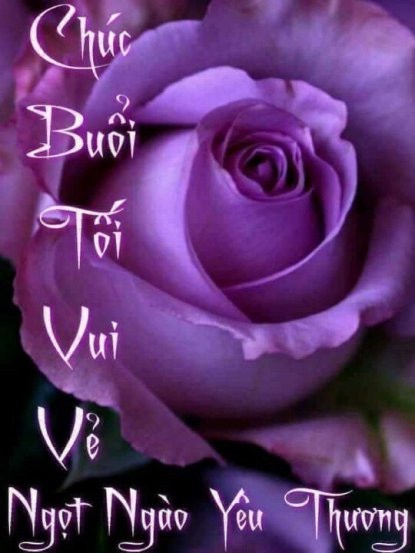 image.jpeg