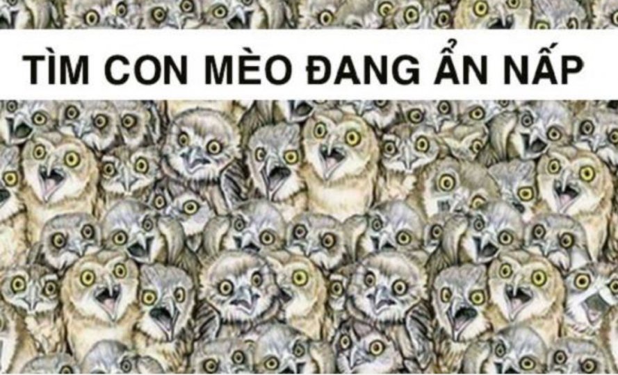 image.jpeg