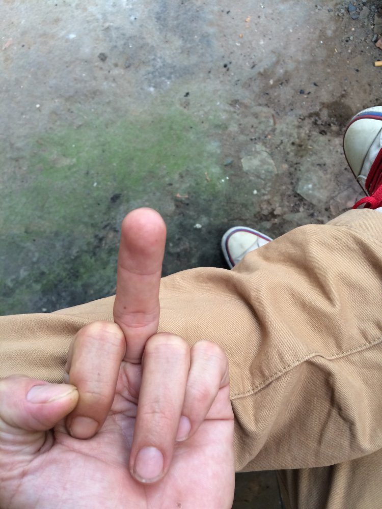 image.jpg