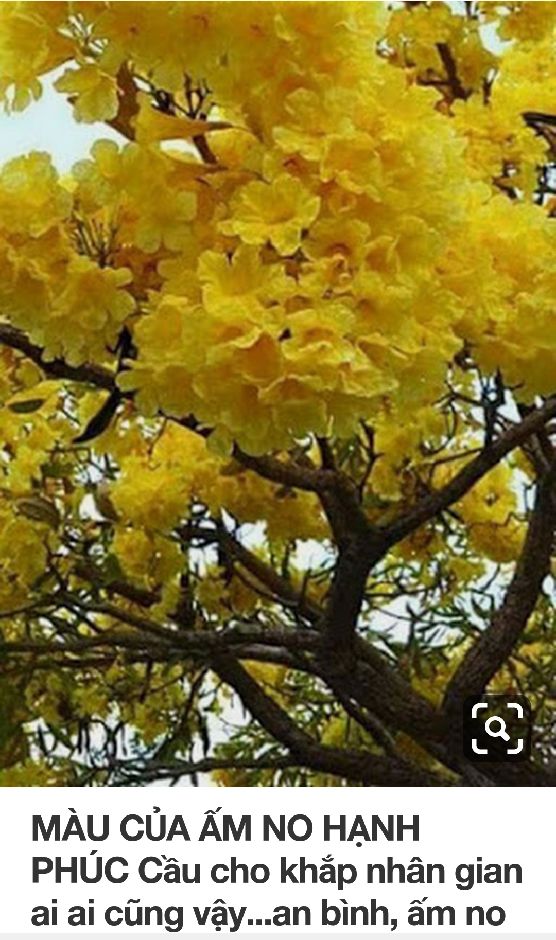 ImageCorp_20190222133001.jpg