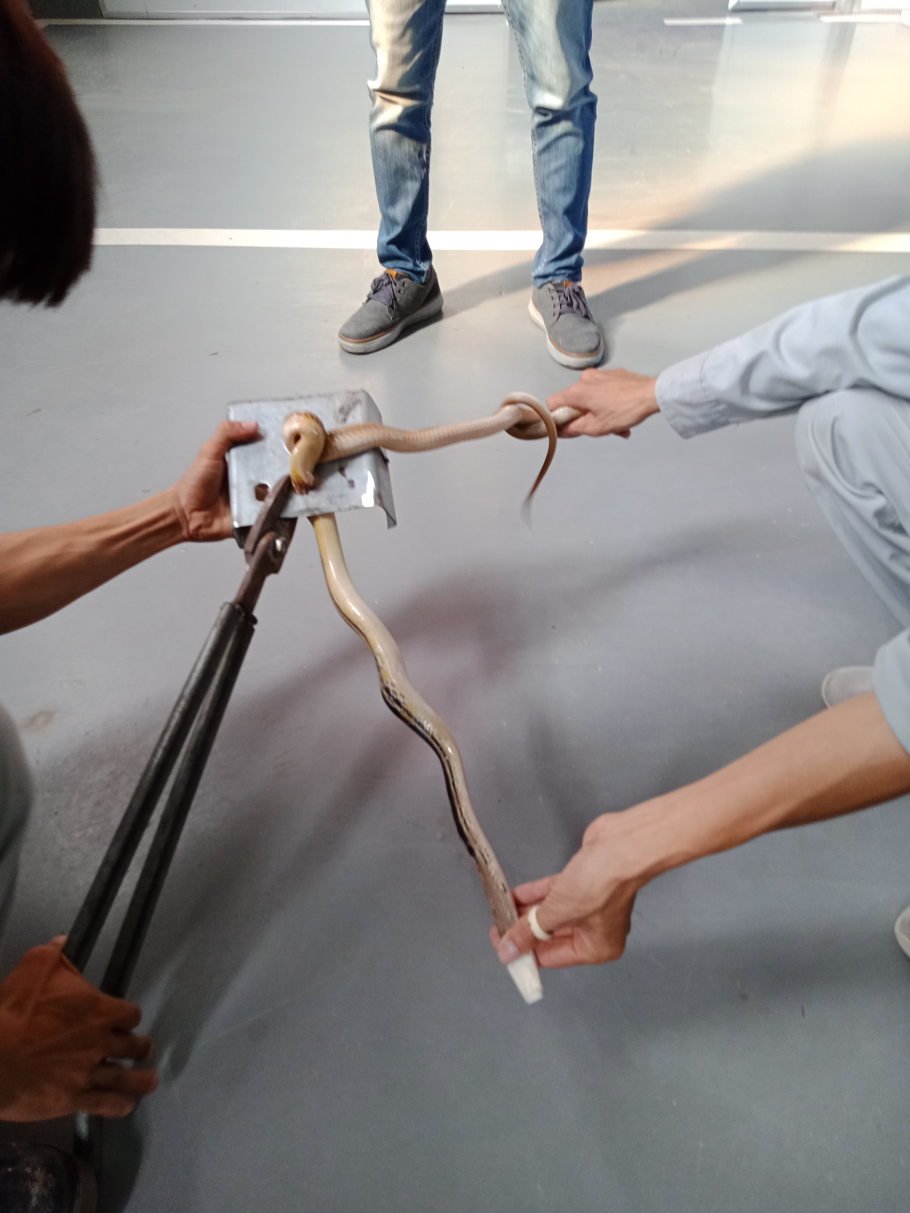 IMG20191022081718.jpg