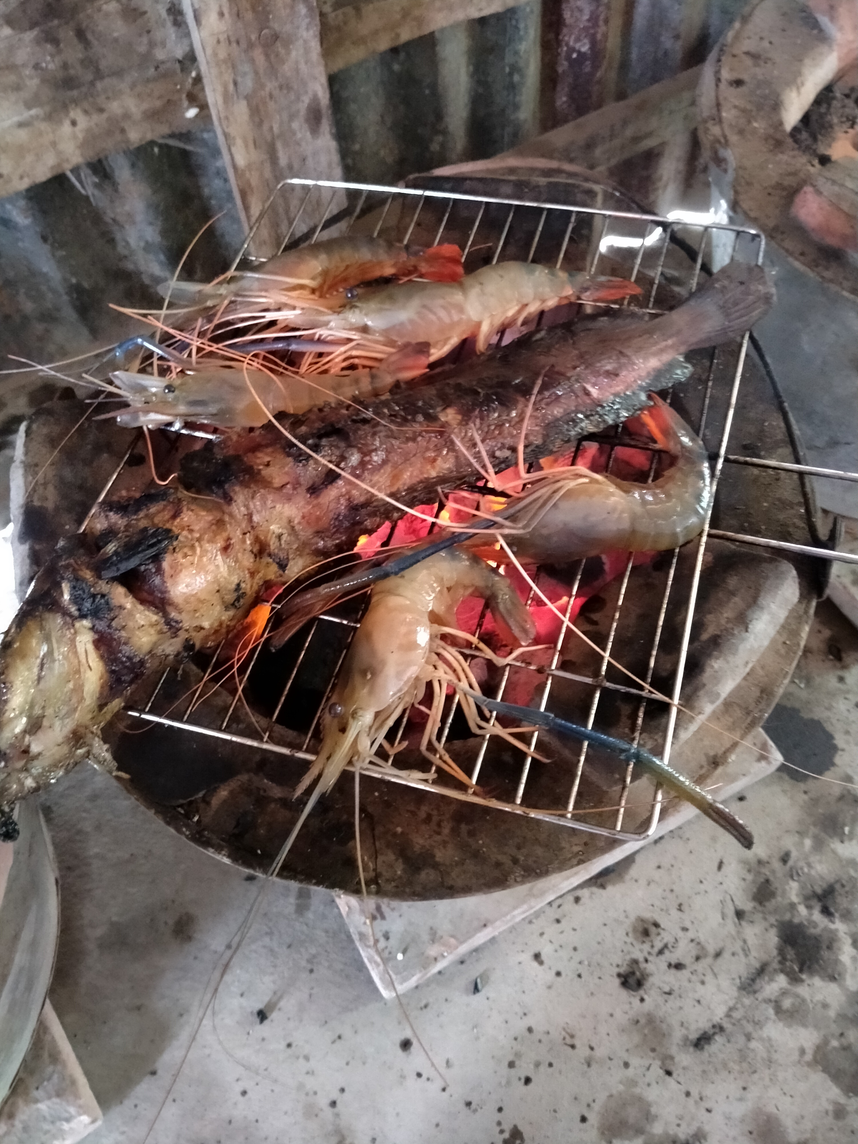 IMG20200220120714.jpg
