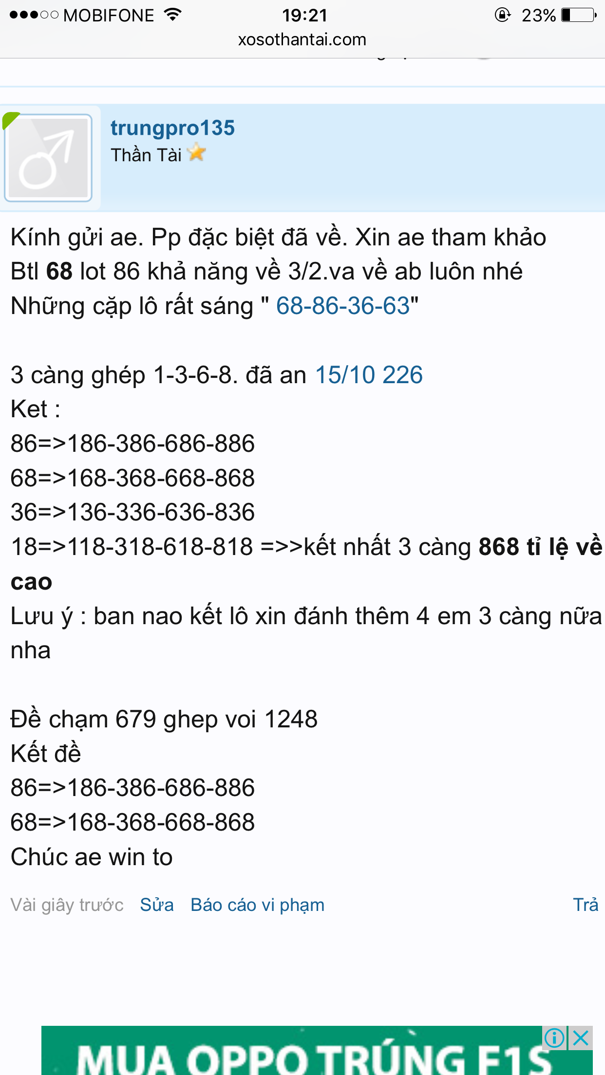 IMG_0247.PNG