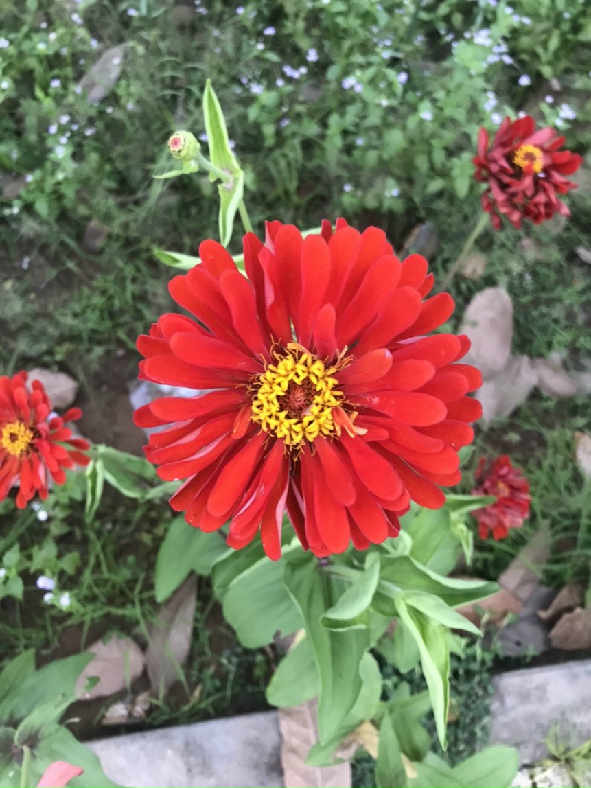 IMG_20220502_071334.jpg