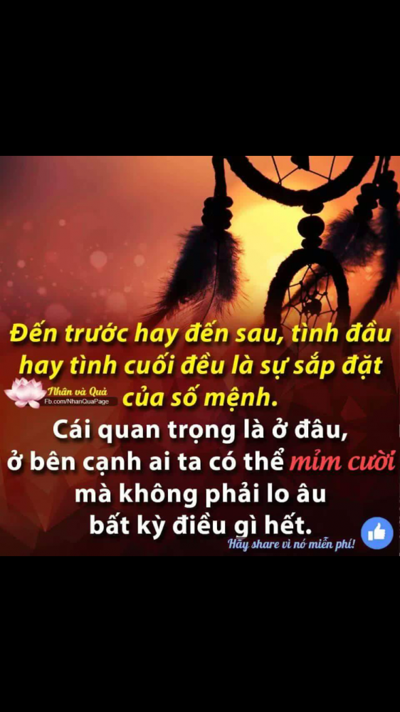 IMG_2466.PNG
