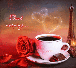 IMG_4082.GIF