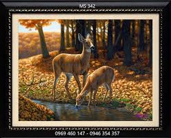 IMG_5445.JPG