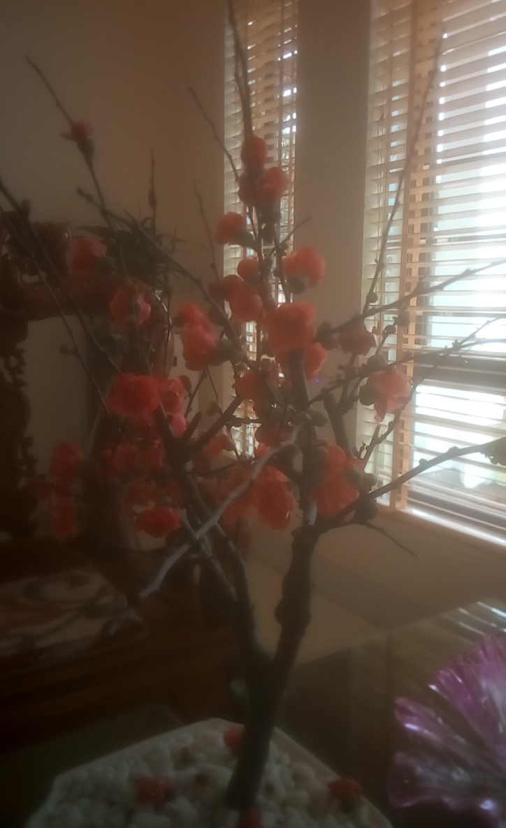 IMG_UPLOAD_20190204_111809.jpg