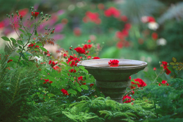 jardins_de_metis_14[1].jpg