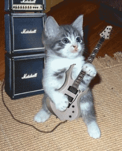 kocky_004.gif