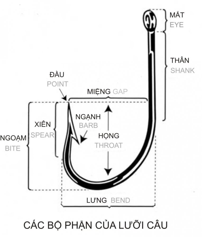 luoi-1.jpg