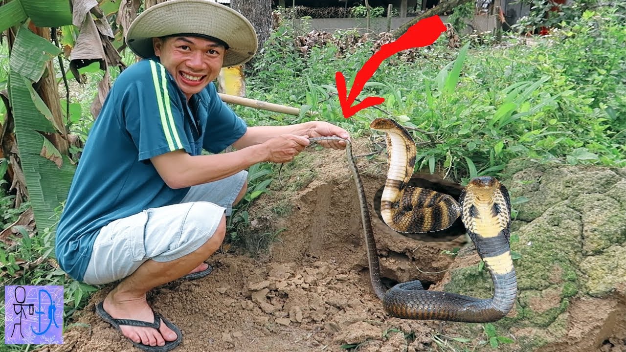 maxresdefault.jpg