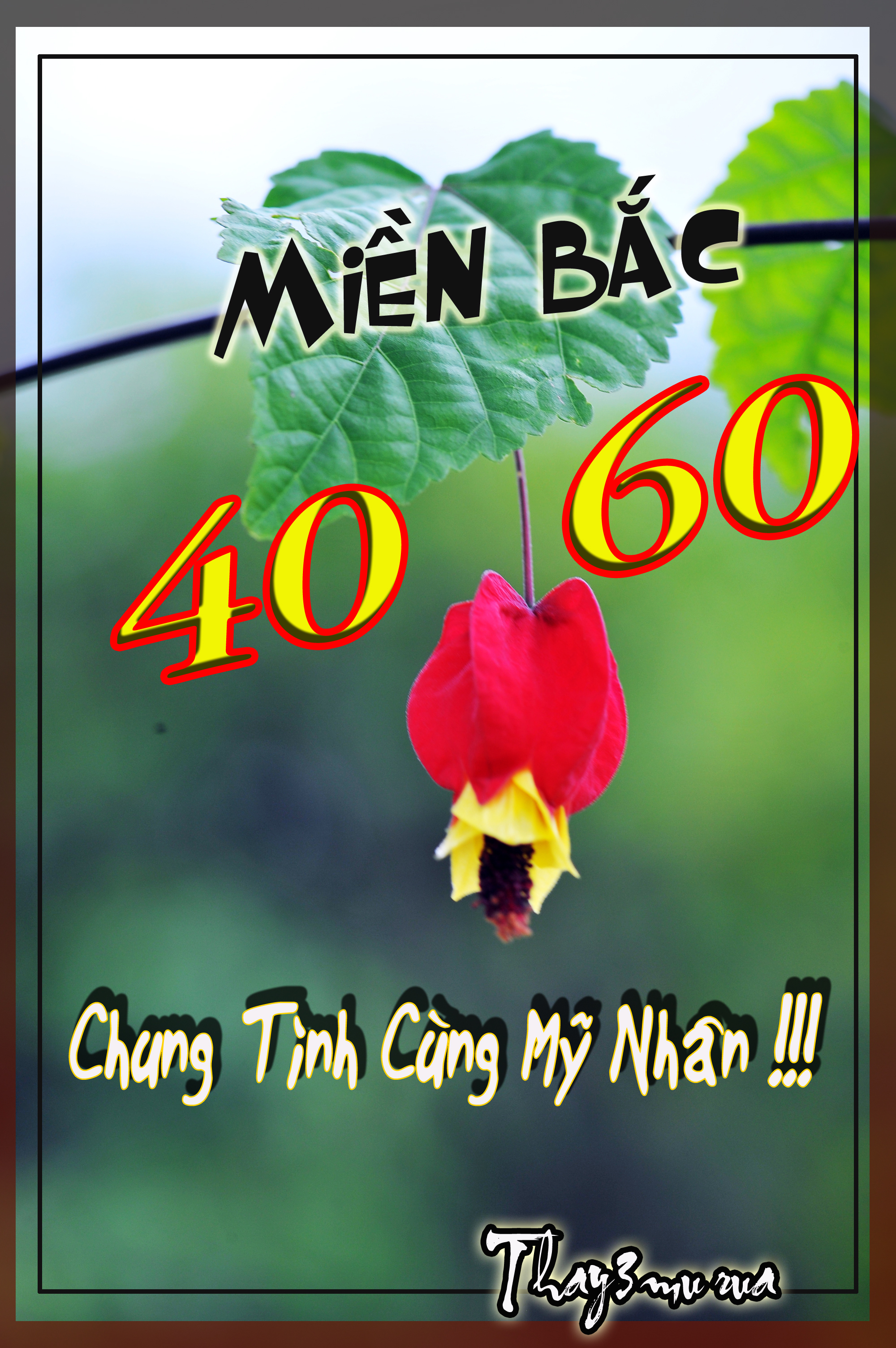 mien bac.jpg