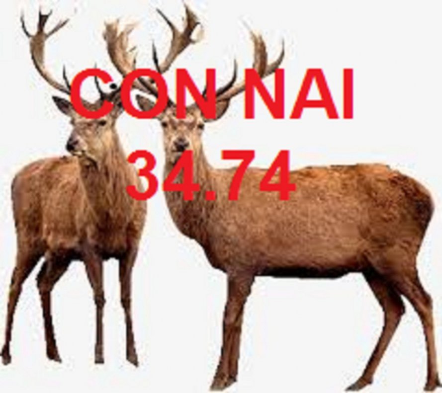 NAI.jpg