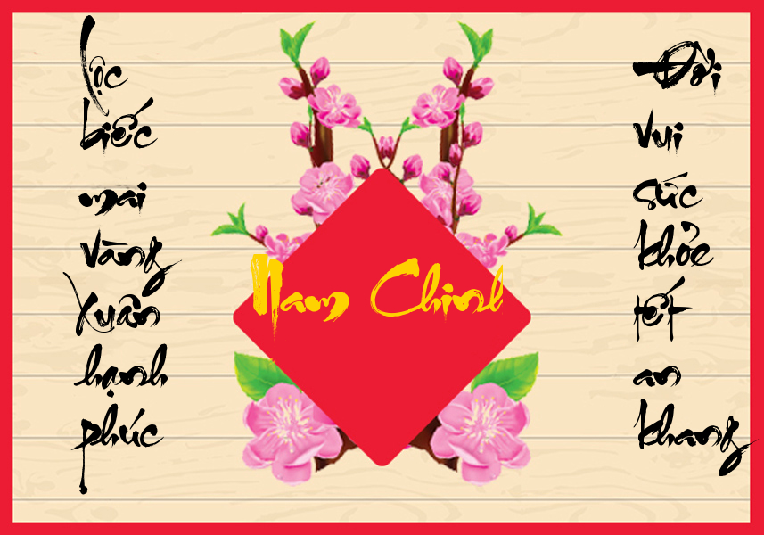 nam chinh.jpg